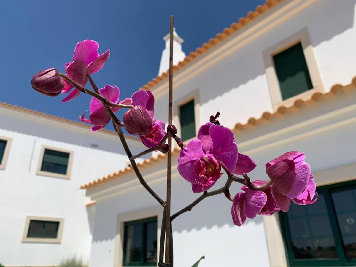 Casa Mineira Guest House Ferreiras Kültér fotó